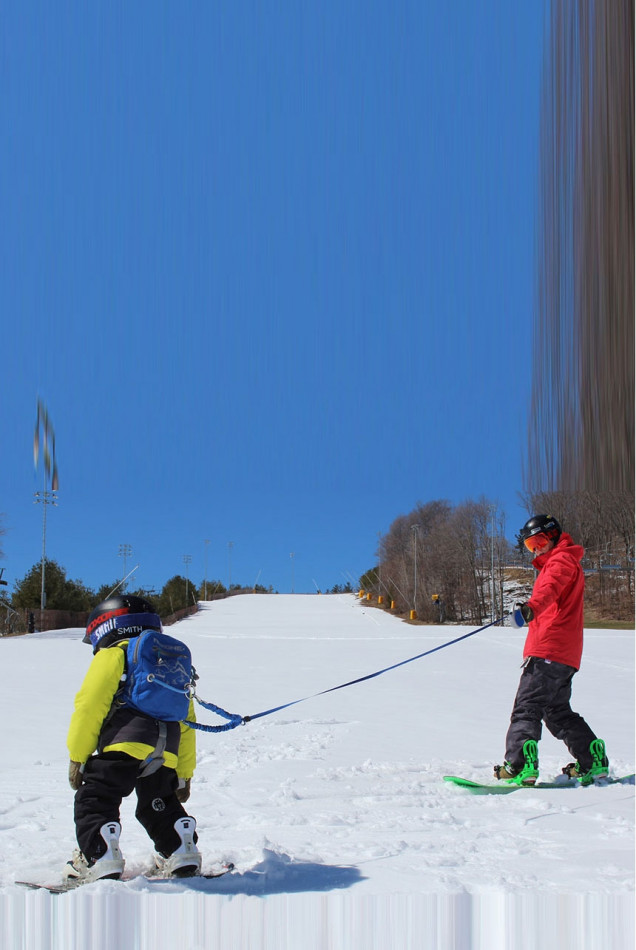 Snowboard Harness Sele