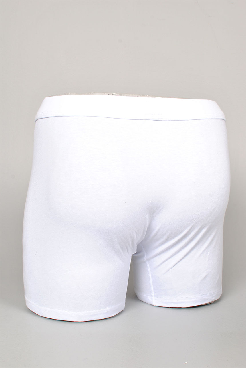 The BoxerBrief Boxershorts