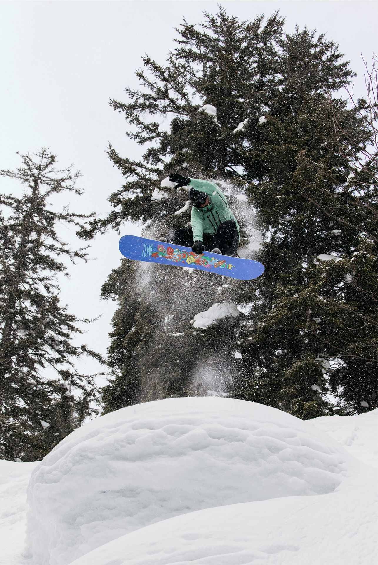 Counterbalance DEMO Snowboard