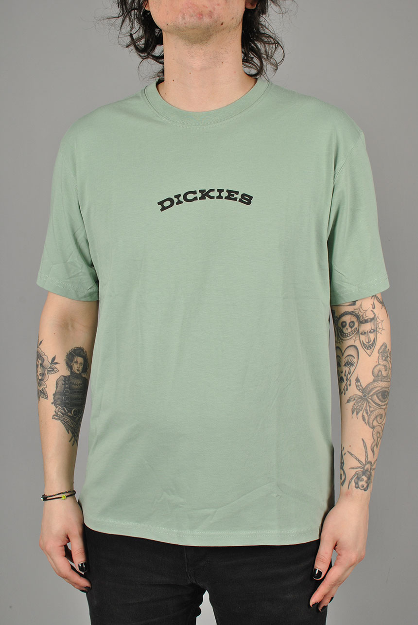 Dickies Outdoor Ss Tee