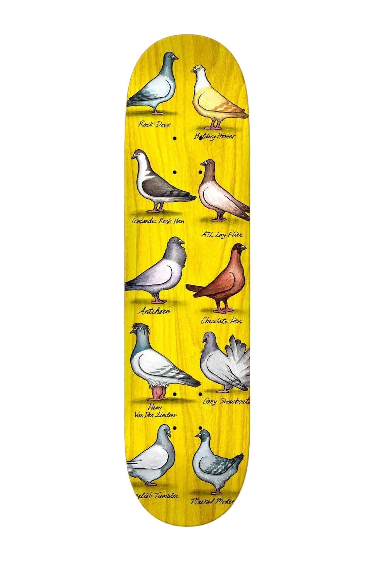 Ah Brd Daan Showpigeons 8.38