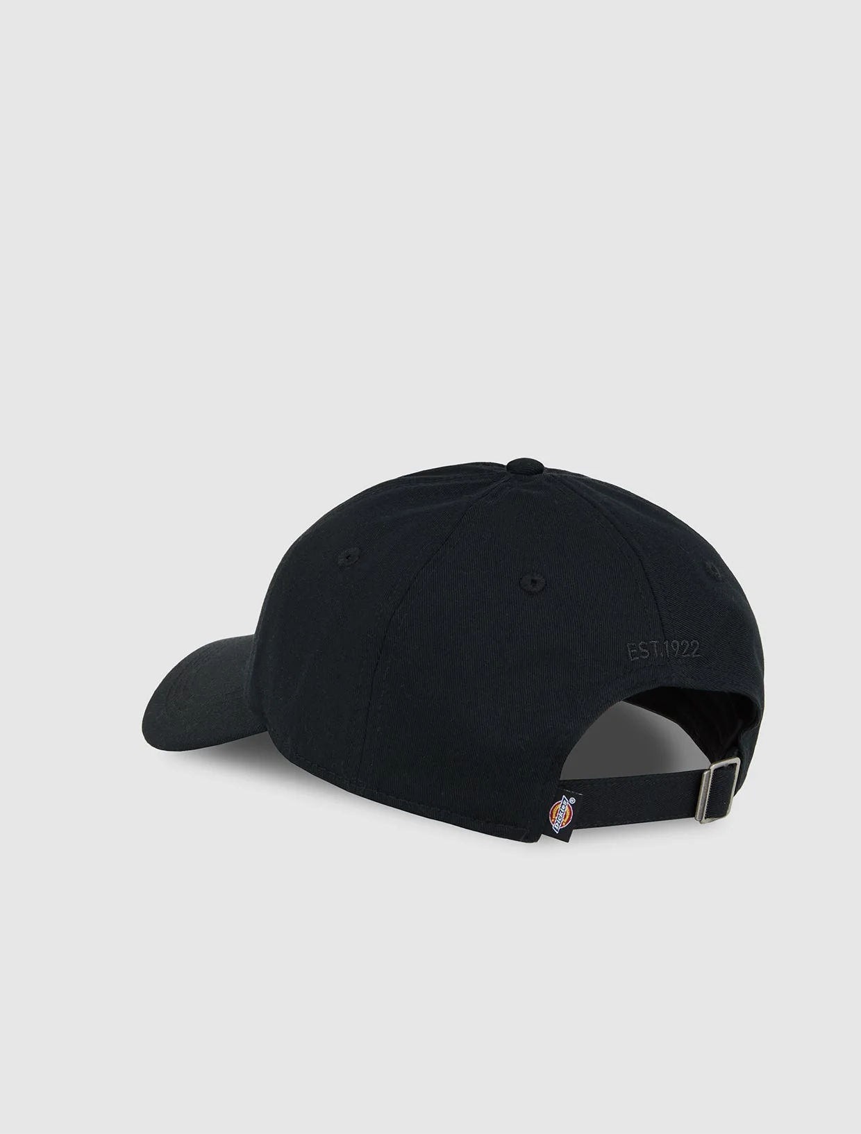 Essential Dad Cap