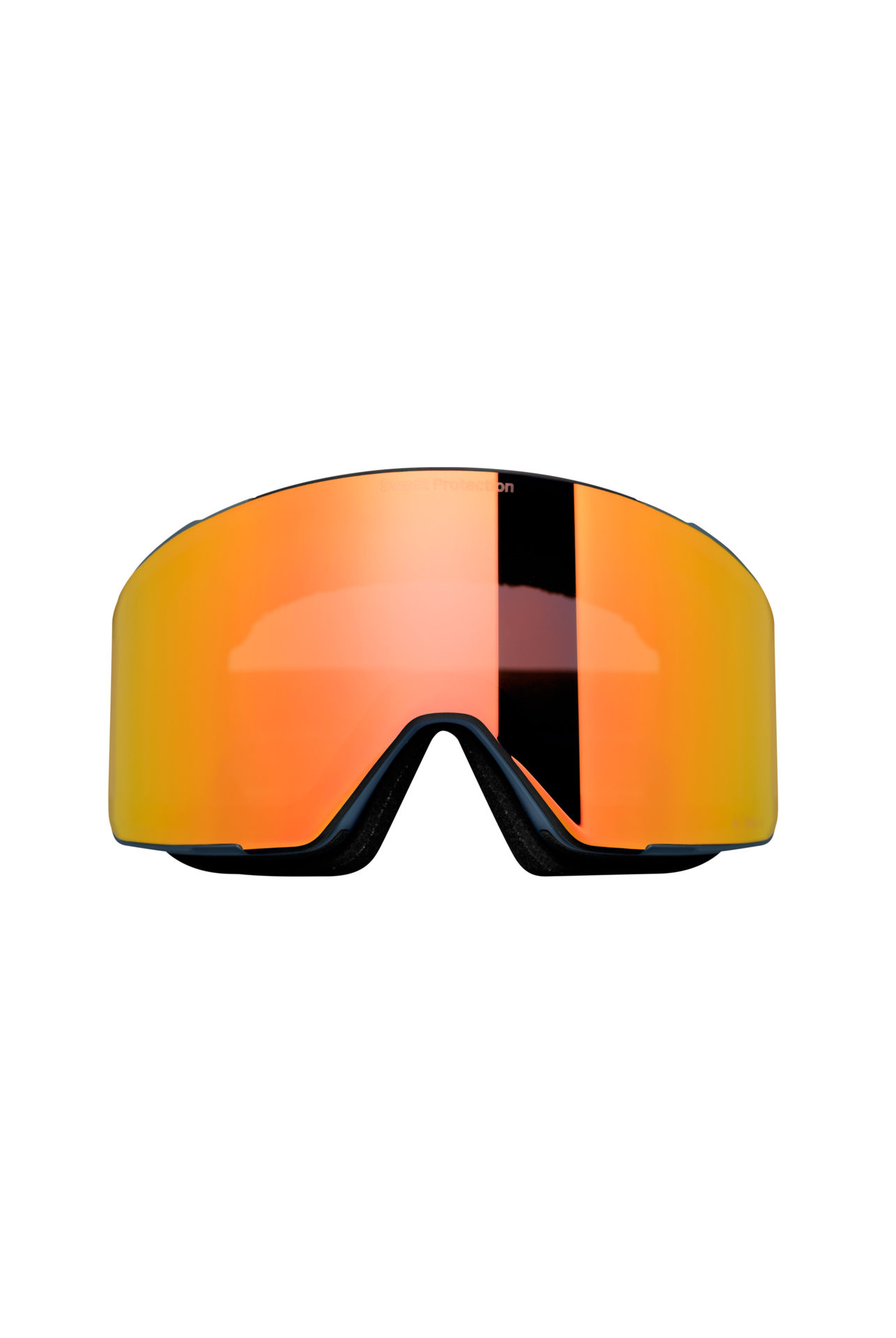 Boondock 2 L RIG Reflect Goggle