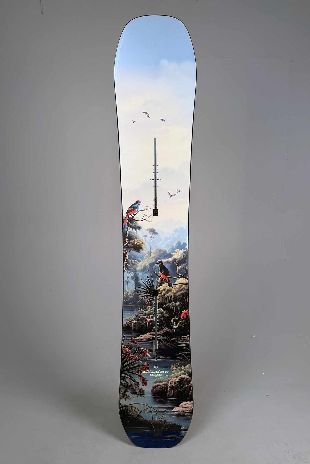 Custom Jungle DEMO Snowboard